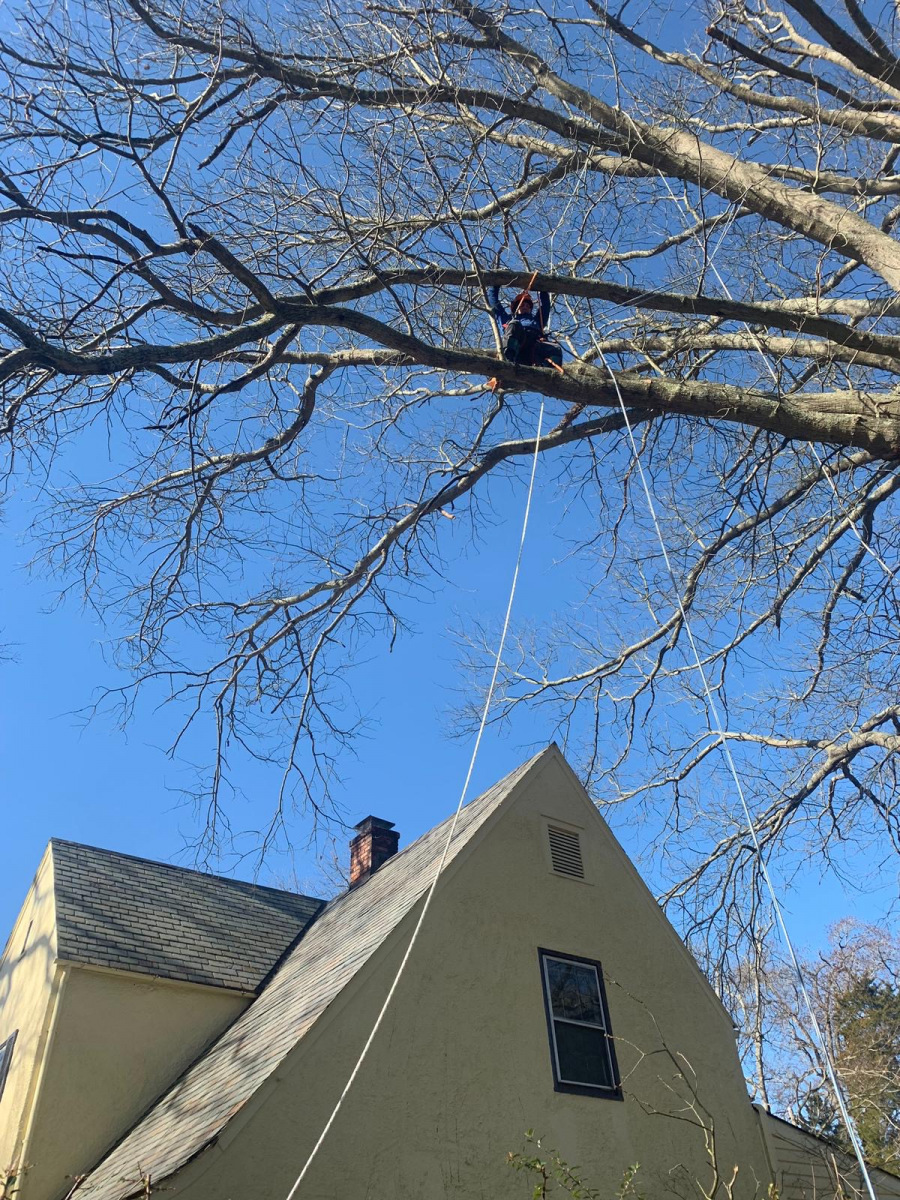 Who's pulling the ropes?