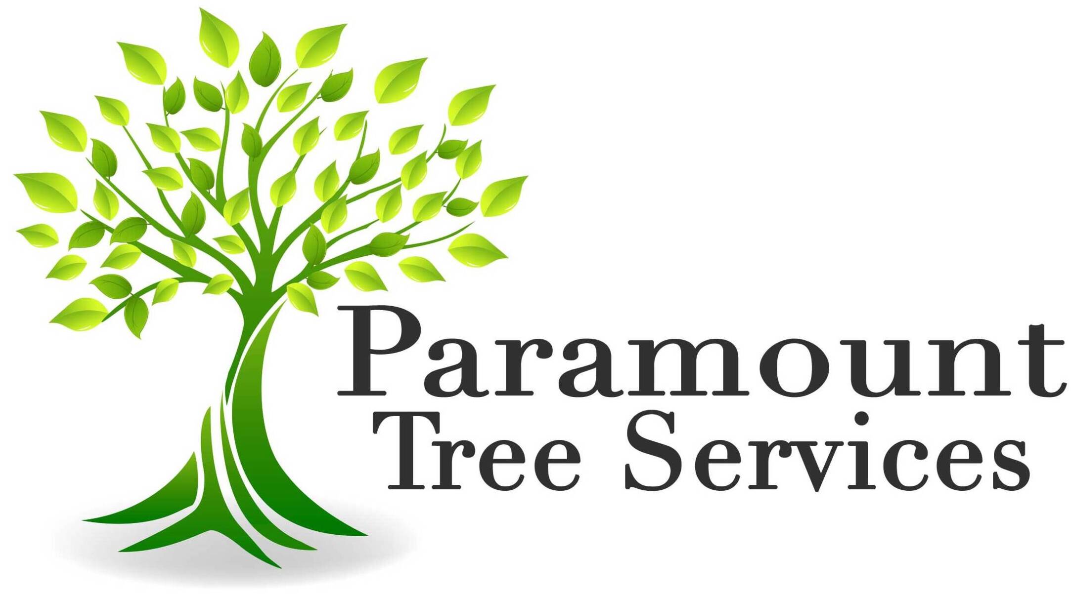 paramount-tree-logo-2-scaled-e1597517461988